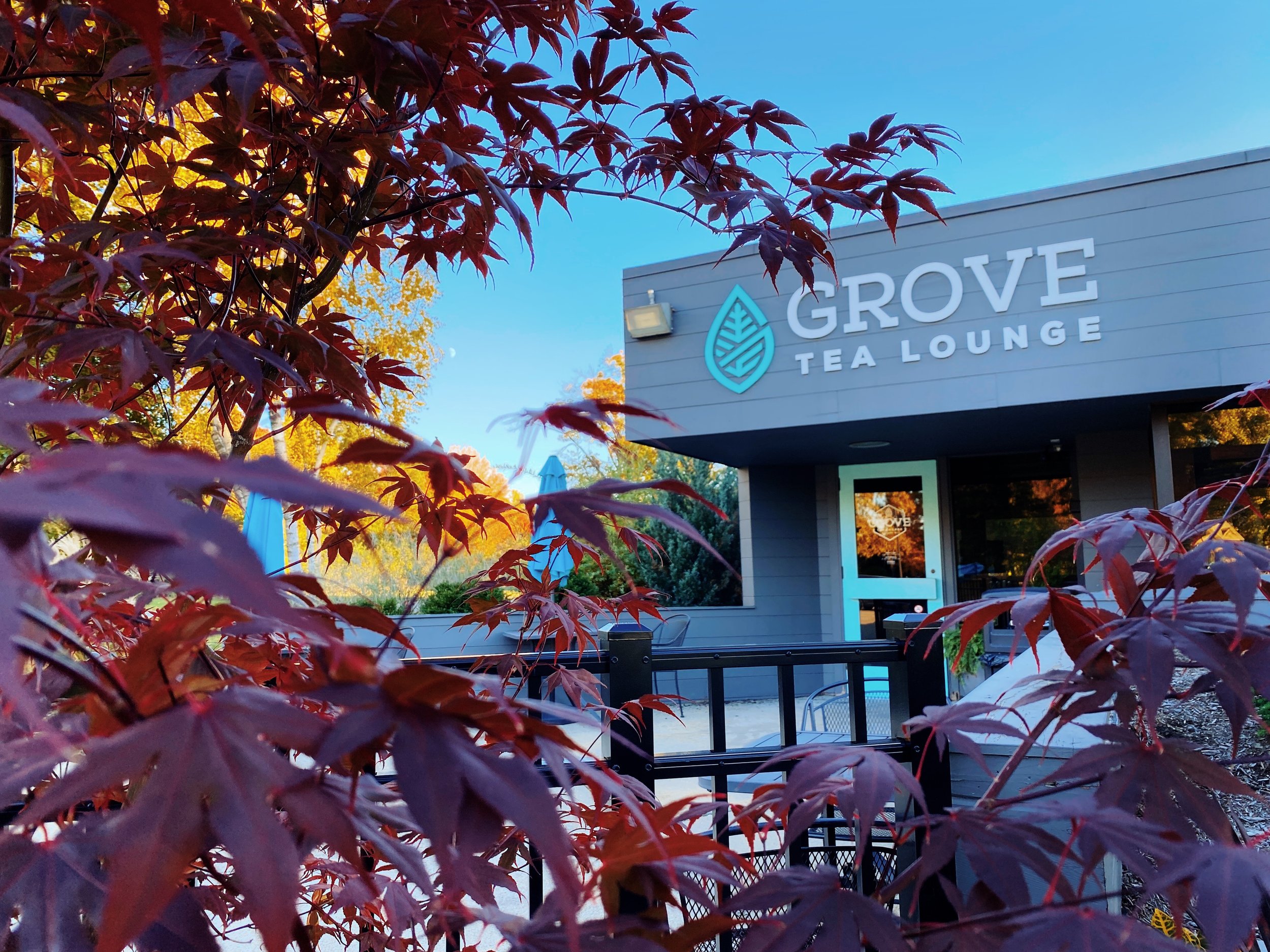 Fall Grove Outdoor 2023.JPG